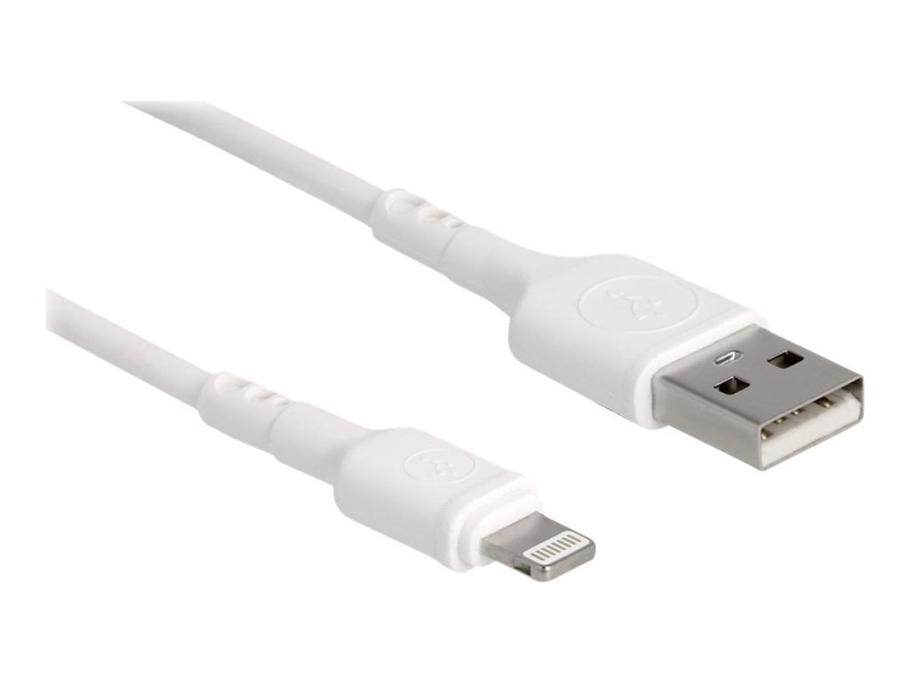 Image DELOCK - Lightning-Kabel - USB männlich zu Lightning männlich - 30cm - weiß - f