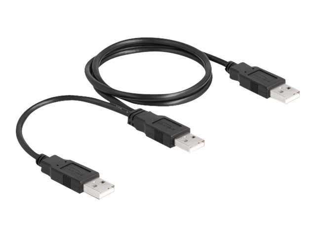 Image DELOCK USB 2.0 Kabel Typ-A zu 2 x Typ-A 70 cm