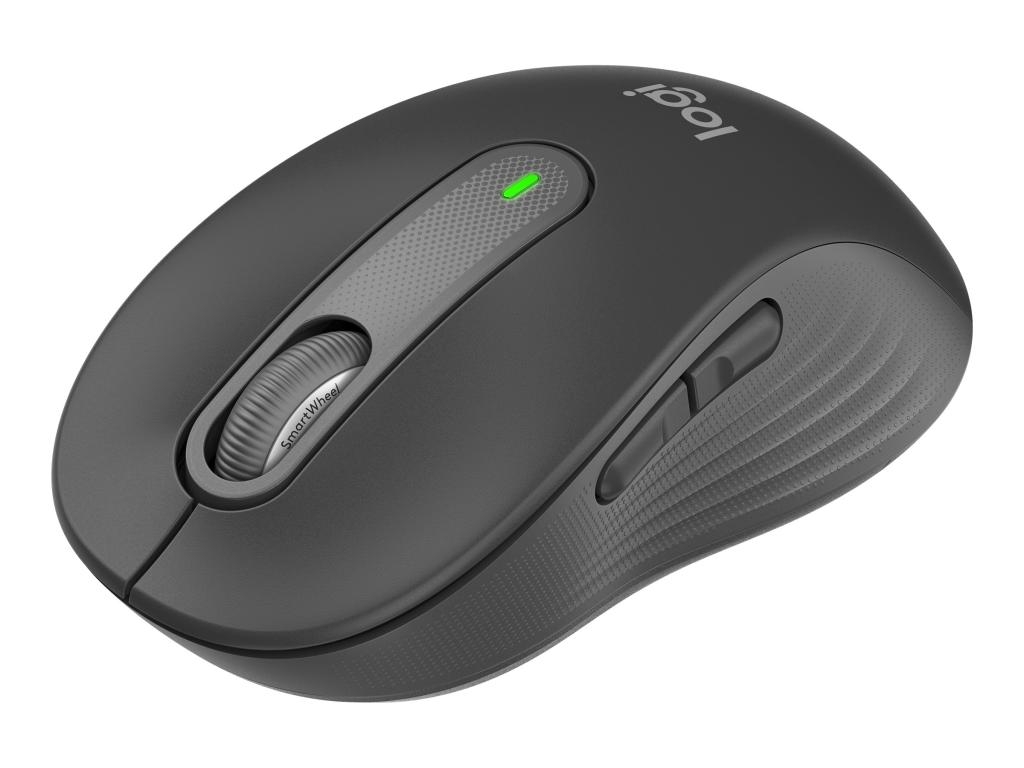 Image LOGITECH M650 BSN GRAPH