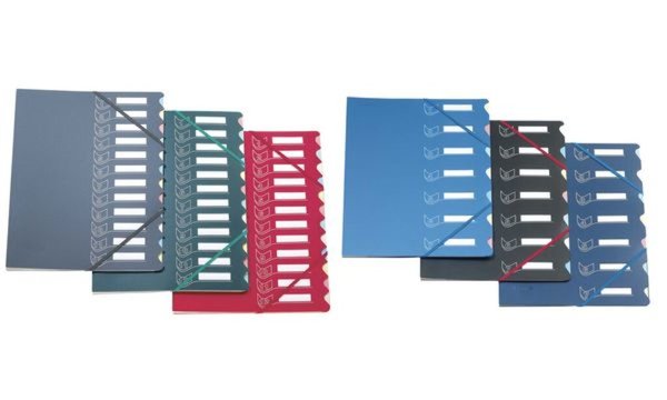 Image extendos Ordnungsmappe 437, DIN A4, 7 Taben farbig sortiert (335479600