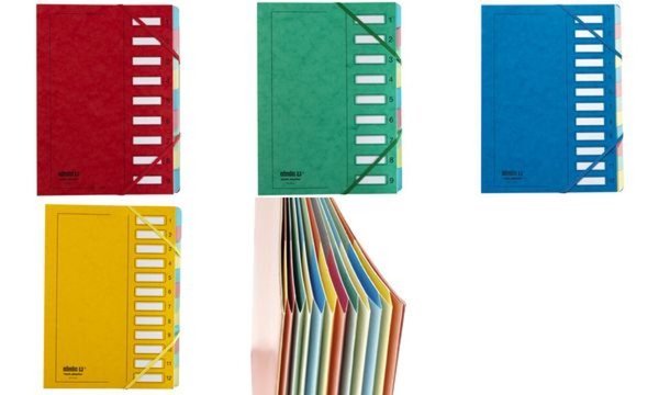 Image extendos Ordnungsmappe, DIN A4, Kar ton, 12 Fächer, blau (83000031)