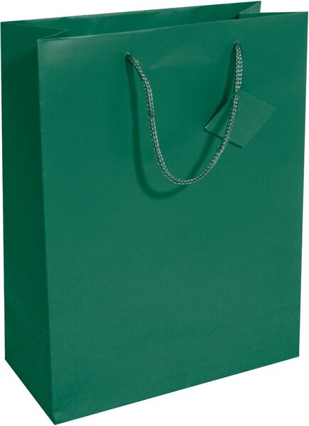 Image sigel Geschenktüte, mit Mattlack, Größe: L, opalgrün