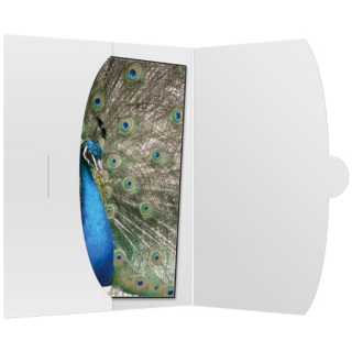 Image -Rn9cKC-E-FgQPC58JTa1e1PrG287Qiwavyh1ICV-K0=.png Image