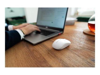 Image 01fdb1eb-c8b4-42be-ad5f-7f61218ea9c7.jpg Image