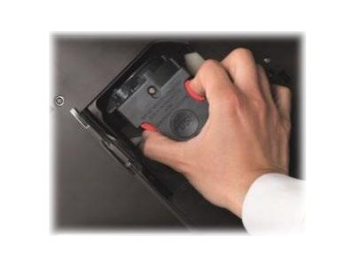 Image 0287d32f-01a1-4f2f-ace7-4f4521fa2cd5.jpg Image