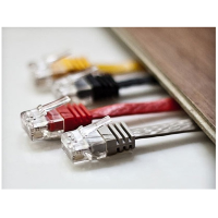 Image 028c339b-df56-4fa1-9719-8c0d4a2094cd.png Image