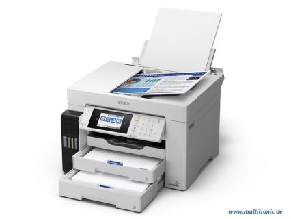 Image 030402.jpg Image