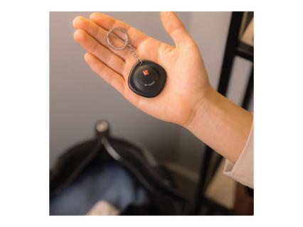 Image 03d26c0b-6bf5-4395-aa2c-eb74e2835d21.jpg Image