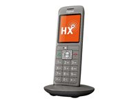 Image 04ce4700-6b4a-4890-8c41-3371375f0bee.jpg Image