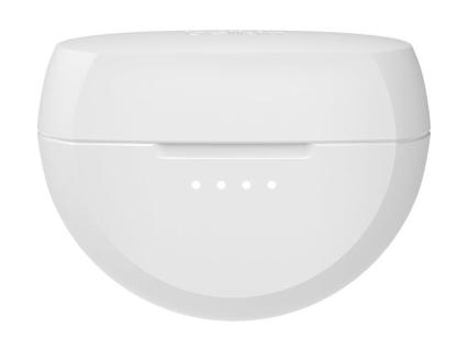 Image 065cd795-5722-42bf-b4d2-b2de6eb462a3.jpg Image