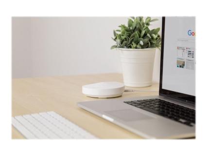 Image 081f1a8c-8eb2-4ebb-afcd-ba68e15d36e2.jpg Image