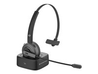 Image 08e0ba57-cdd6-4c73-b485-164be02f95e4.jpg Image