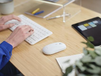 Image 08e0d0110ecb11bd7e2aedabae12050c.jpg Image