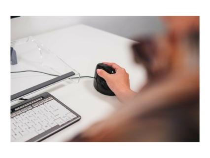 Image 09d4d378-1ea5-4c2a-9012-ce2028b74b4f.jpg Image