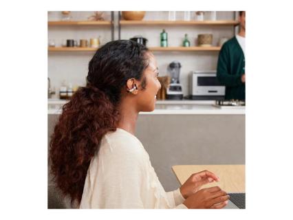 Image 0bfd0022-5a61-4449-95f6-c4732bd67a22.jpg Image