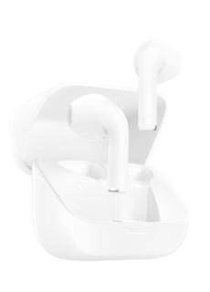 Image 0f6b2cf4c50aa1b3227615724e96ca28dec14be6.jpg Image