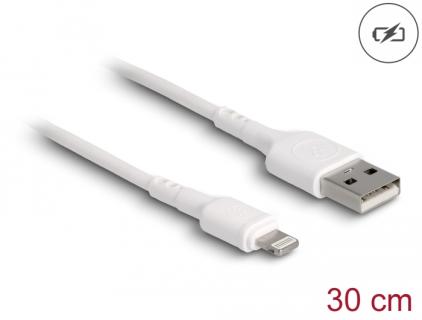DELOCK - Lightning-Kabel - USB männlich zu Lightning männlich - 30cm - weiß - f