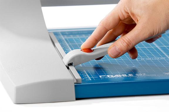 Image 102189149_8346821195.jpg Image