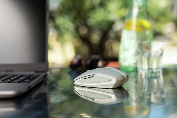 Image 104950764_3230938108.jpg Image