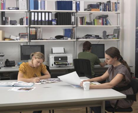 Image 106150824_3764005156.jpg Image