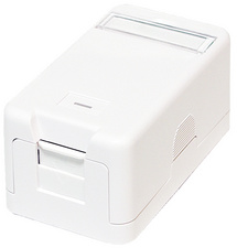 Image 11114862.jpg Image