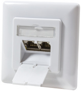 Image 11114973.jpg Image