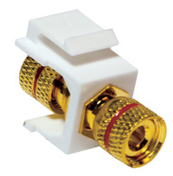 Image 11114997.jpg Image