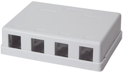 Image 11115536.jpg Image