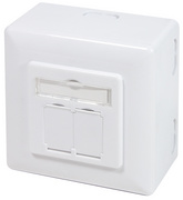 Image 11115943.jpg Image