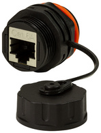 Image 11116961.jpg Image