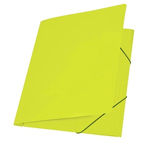 PAGNA Eckspannermappe "Trend Colours", DIN A3, lindgrün