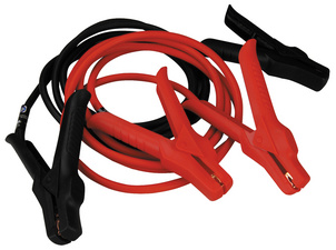 Image 11570173.jpg Image