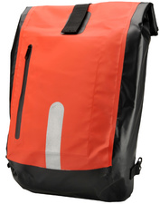 Image 11580231.jpg Image