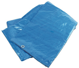 Image 11600001.jpg Image