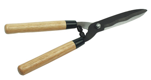 Image 11600145.jpg Image