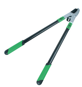 Image 11600165.jpg Image