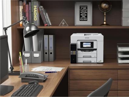 Image 12cbe24f0117f27a5275c1786397c206.jpg Image