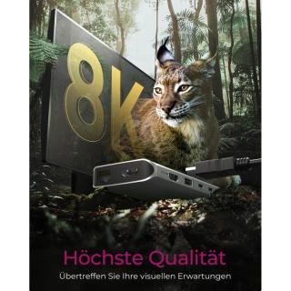 RAIDSONIC Dockingstation IcyBox 12-in-1 mobile USB 3.2 Gen 1 Type-C retail