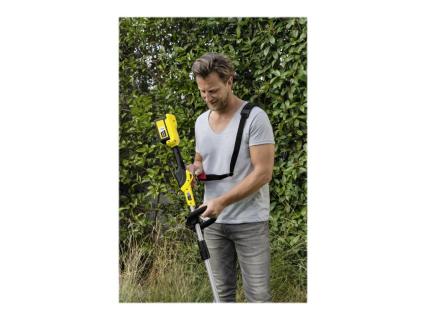 Image 155335c7-35b7-46ba-8926-8634055eedbb.jpg Image