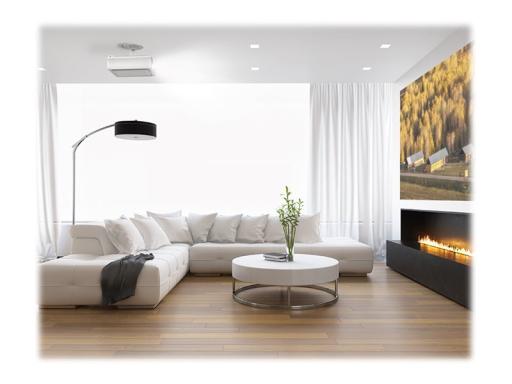 Image 1624246b-3a99-4e32-991c-503e1c0175c5.jpg Image