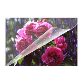 Image 16713_5873761_8200.jpg Image