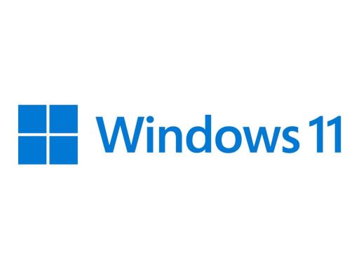 MICROSOFT WIN PRO N 11 (FWC-03370)
