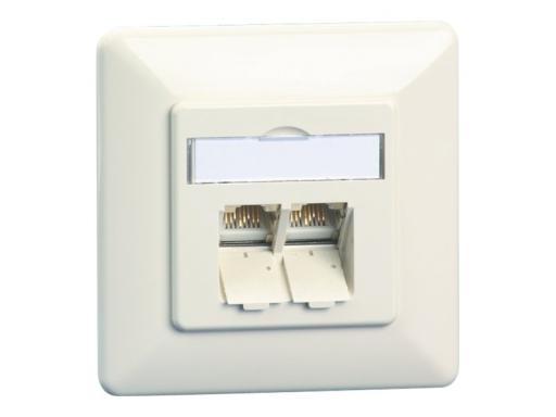 BTR Datendose E-DAT C6A, Cat.6A (ISO), 2-fach, Aufputz, reinweiß RAL 9010