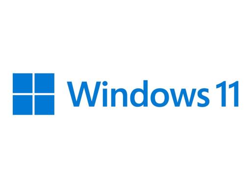 MICROSOFT SB Windows 11 Pro 64bit [UK] DVD