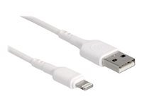 DELOCK - Lightning-Kabel - USB männlich zu Lightning männlich - 30cm - weiß - f