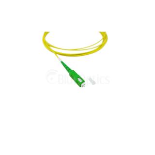 Image 1691026882837.jpg Image