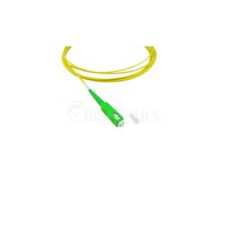 Image 1691027140685.jpg Image