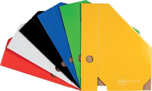 Image 1704247698818.jpg Image