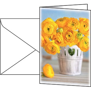 Image 1712747307269.jpg Image