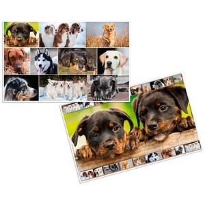 Image 1712747801450.jpg Image